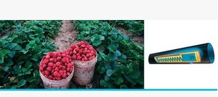 超级台风滴灌管（SUPER TYPHOONTM）16100内嵌式薄壁滴灌管